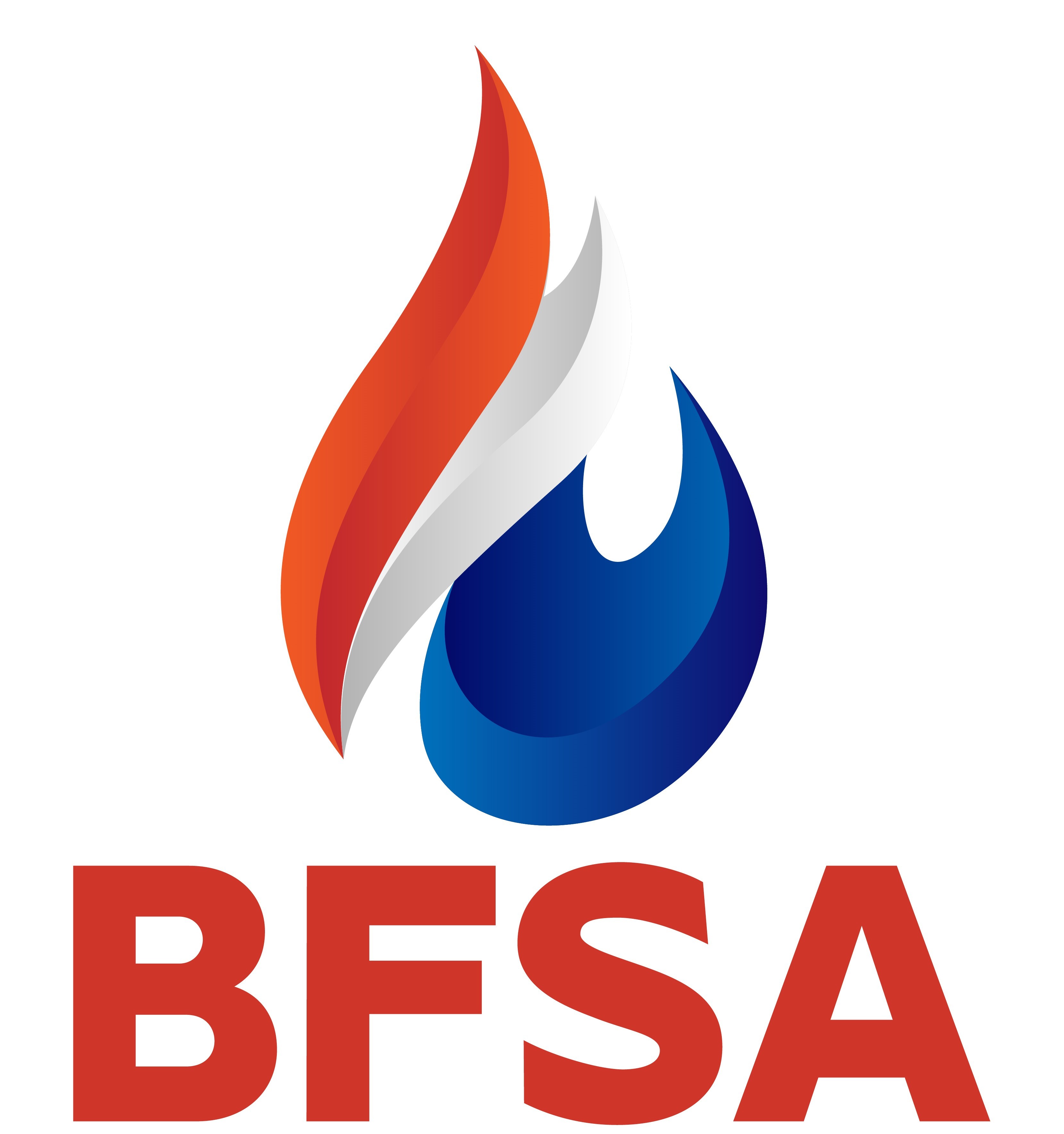 thebfsa.co.uk
