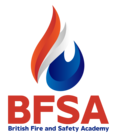 thebfsa.co.uk